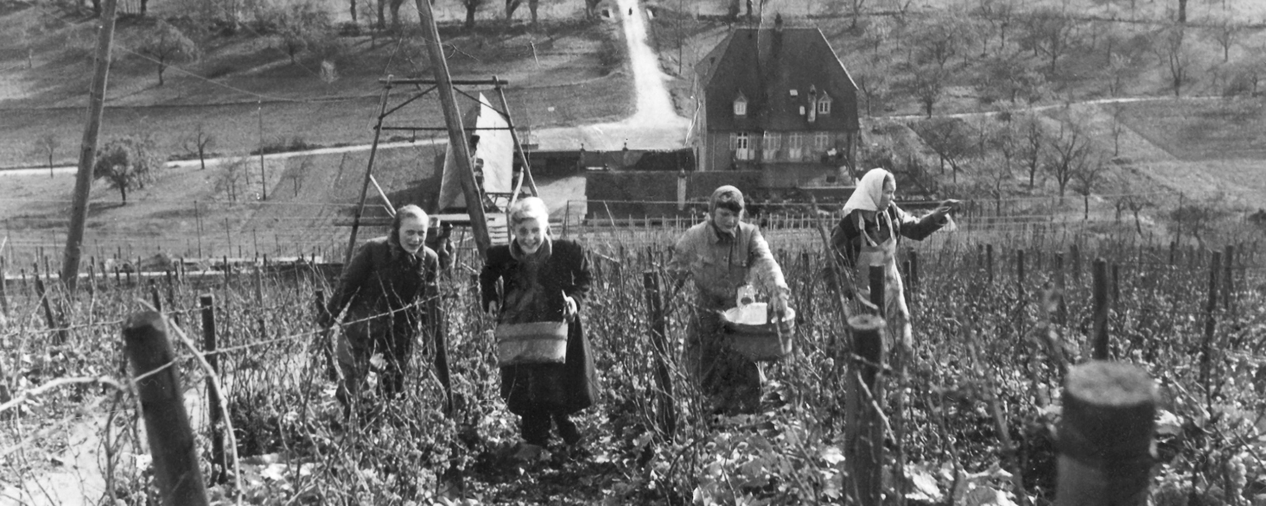 Die Geschichte des REBgut Lauda: vom Weinversuchsgut zur Kulturgastronomie