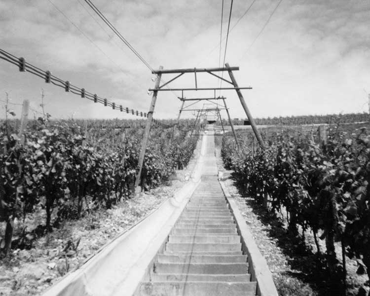 Die Geschichte des REBgut Lauda: vom Weinversuchsgut zur Kulturgastronomie