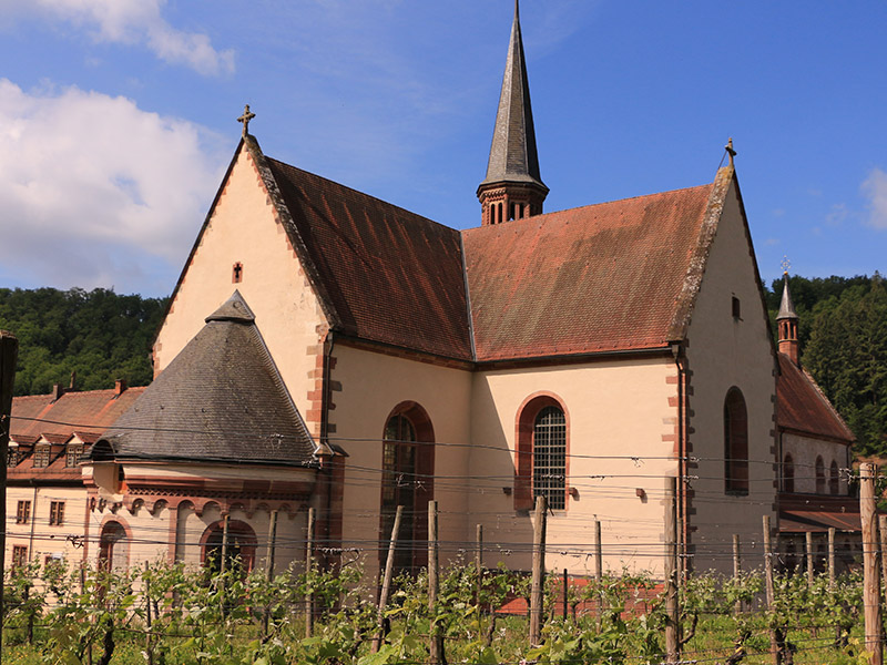 Bronnbach Abbey near Wertheim offers various events